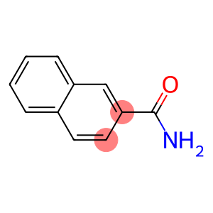 BETA-NAPHTHAMIDE 97%