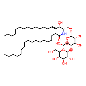 BETA-D-GALACTOPYRANOSYL(1-4)-BETA-D-GLUCOPYRANOSYL CERAMIDE