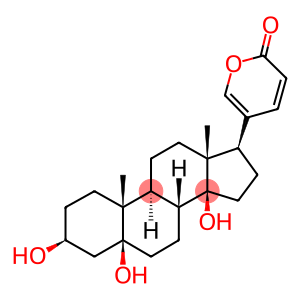 20,22,5BETA-BUFADIENOLID-3BETA,5BETA,14BETA-TRIOL