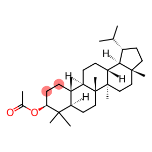 3B-ACETOXYLUPANE