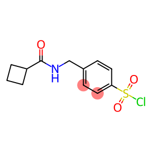 4-{[(cyclobutylcarbonyl)amino]methyl}benzenesulfonyl chloride