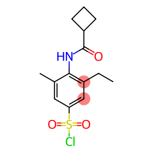 4-cyclobutaneamido-3-ethyl-5-methylbenzene-1-sulfonyl chloride