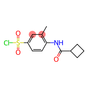 4-cyclobutaneamido-3-methylbenzene-1-sulfonyl chloride