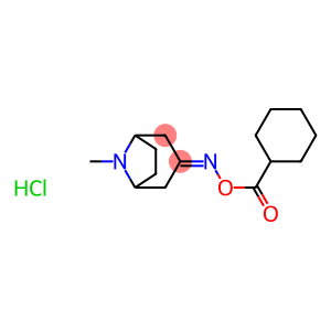 3-{[(cyclohexylcarbonyl)oxy]imino}-8-methyl-8-azabicyclo[3.2.1]octane hydrochloride