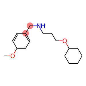 [3-(cyclohexyloxy)propyl][(4-methoxyphenyl)methyl]amine