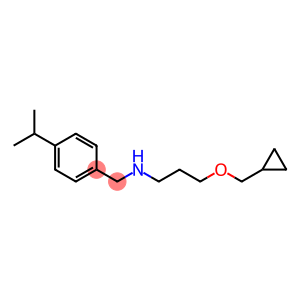 [3-(cyclopropylmethoxy)propyl]({[4-(propan-2-yl)phenyl]methyl})amine