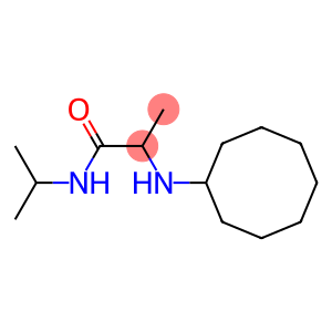 2-(cyclooctylamino)-N-(propan-2-yl)propanamide