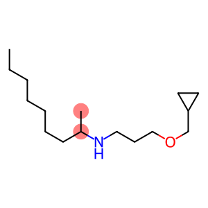 [3-(cyclopropylmethoxy)propyl](nonan-2-yl)amine