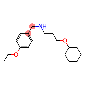 [3-(cyclohexyloxy)propyl][(4-ethoxyphenyl)methyl]amine