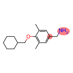 [4-(cyclohexylmethoxy)-3,5-dimethylphenyl]methanamine