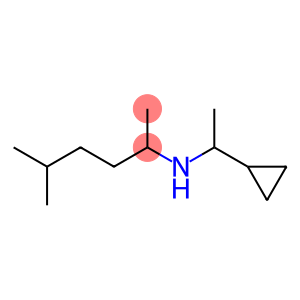 (1-cyclopropylethyl)(5-methylhexan-2-yl)amine