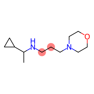 (1-cyclopropylethyl)[3-(morpholin-4-yl)propyl]amine