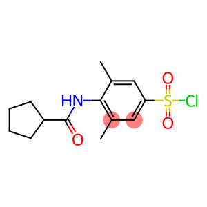 4-cyclopentaneamido-3,5-dimethylbenzene-1-sulfonyl chloride