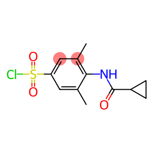 4-cyclopropaneamido-3,5-dimethylbenzene-1-sulfonyl chloride