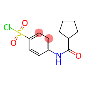 4-cyclopentaneamidobenzene-1-sulfonyl chloride