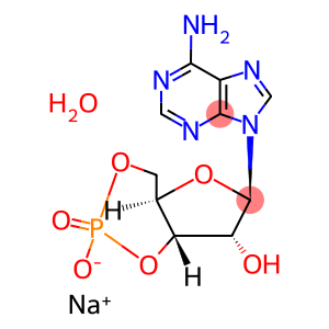 3',5'-CYCLIC AMP SODIUM SALT MONOHYDRATE