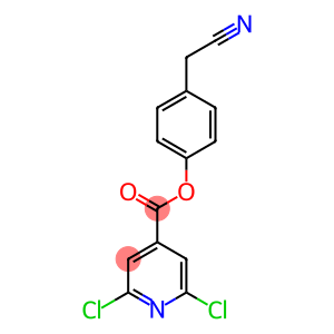 4-(CYANOMETHYL)PHENYL 2,6-DICHLOROISONICOTINATE