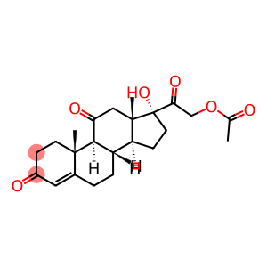 CORTISONE ACETATE USP 23