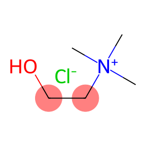 Choline Chloride 50% Silic