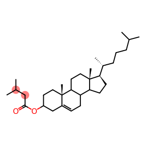 Cholesteryl Isovalerate