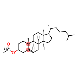 CHOLESTERYL ACETATE, [ACETATE 1-14C]