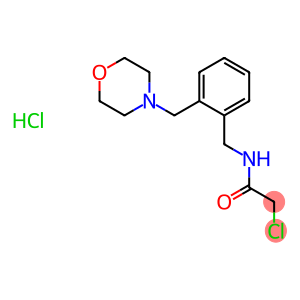 2-CHLORO-N-[2-(MORPHOLIN-4-YLMETHYL)BENZYL]ACETAMIDE HYDROCHLORIDE