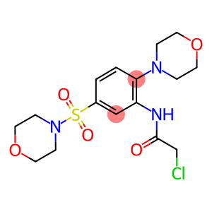 2-CHLORO-N-[5-(MORPHOLINE-4-SULFONYL)-2-MORPHOLIN-4-YL-PHENYL]-ACETAMIDE