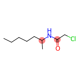 2-CHLORO-N-(1-METHYLHEXYL)ACETAMIDE