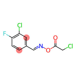 2-CHLORO-4-(([(2-CHLOROACETYL)OXY]IMINO)METHYL)-1-FLUOROBENZENE