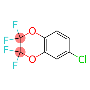 6-CHLORO-2,2,3,3-TETRAFLUORO-2,3-DIHYDRO-BENZO[1,4]DIOXINE