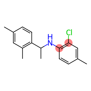 2-chloro-N-[1-(2,4-dimethylphenyl)ethyl]-4-methylaniline