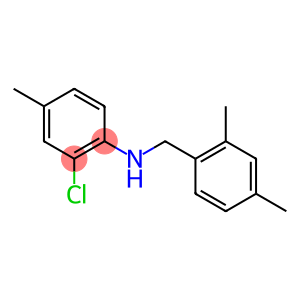 2-chloro-N-[(2,4-dimethylphenyl)methyl]-4-methylaniline