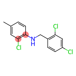 2-chloro-N-[(2,4-dichlorophenyl)methyl]-4-methylaniline