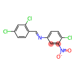 4-chloro-N-(2,4-dichlorobenzylidene)-3-nitroaniline