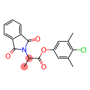 4-chloro-3,5-dimethylphenyl 2-(1,3-dioxo-1,3-dihydro-2H-isoindol-2-yl)propanoate