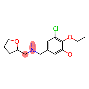 1-(3-CHLORO-4-ETHOXY-5-METHOXYPHENYL)-N-(TETRAHYDROFURAN-2-YLMETHYL)METHANAMINE