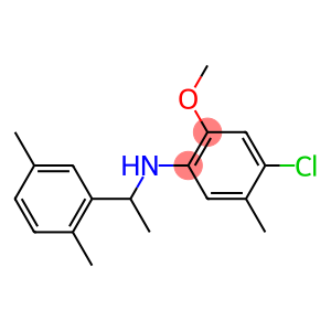 4-chloro-N-[1-(2,5-dimethylphenyl)ethyl]-2-methoxy-5-methylaniline