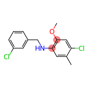 4-chloro-N-[(3-chlorophenyl)methyl]-2-methoxy-5-methylaniline