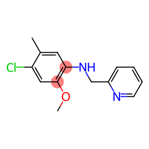 4-chloro-2-methoxy-5-methyl-N-(pyridin-2-ylmethyl)aniline