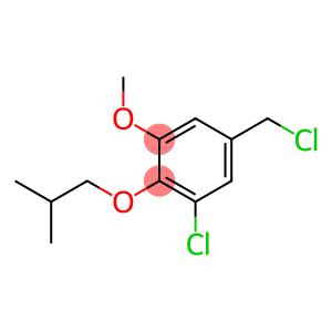 1-chloro-5-(chloromethyl)-3-methoxy-2-(2-methylpropoxy)benzene