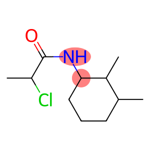 2-CHLORO-N-(2,3-DIMETHYLCYCLOHEXYL)PROPANAMIDE