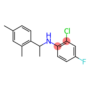 2-chloro-N-[1-(2,4-dimethylphenyl)ethyl]-4-fluoroaniline