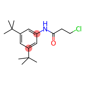 3-CHLORO-N-(3,5-DI-TERT-BUTYLPHENYL)PROPANAMIDE