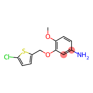 3-[(5-chlorothien-2-yl)methoxy]-4-methoxyaniline