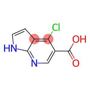 4-Chloro-1H-pyrrolo[2,3-b]pyridine-5-carboxylic acid