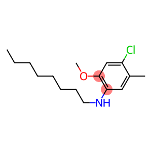 4-chloro-2-methoxy-5-methyl-N-octylaniline