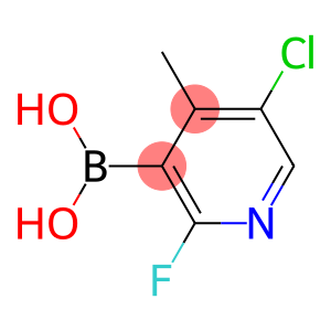 5-Chloro-2-fluoro-4-methylpyridine-3-boronic acid