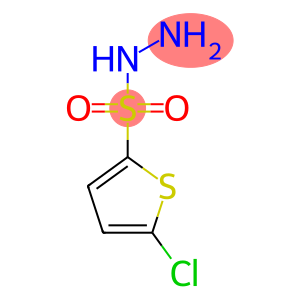 5-Chloro-thiophene-2-sulfonylhydrazine