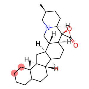 CEVOLIDE