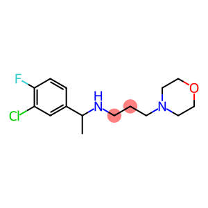 [1-(3-chloro-4-fluorophenyl)ethyl][3-(morpholin-4-yl)propyl]amine